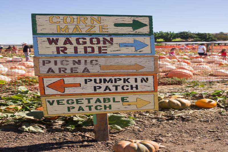 agritourism-insurance agritourism-insurance